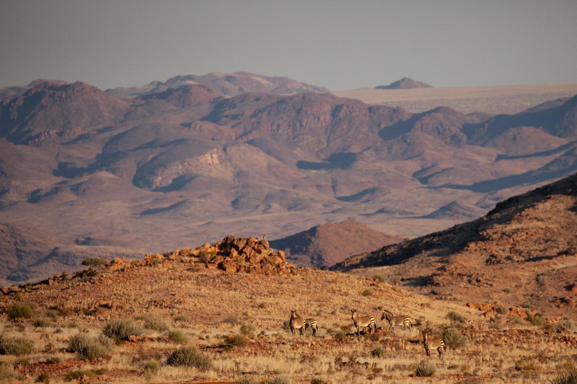 Sandfontein Lodge & Nature Reserve מראה חיצוני תמונה