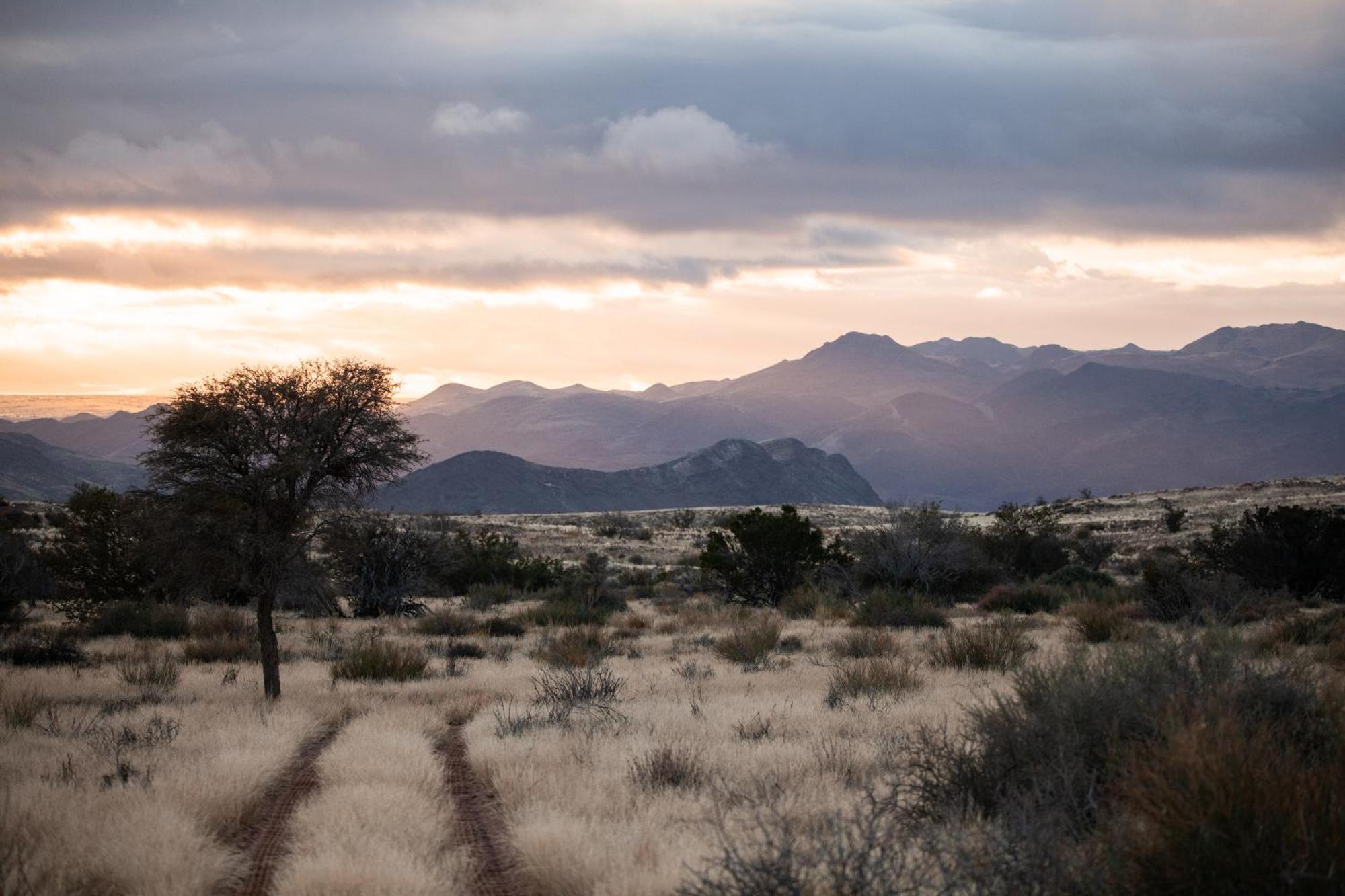 Sandfontein Lodge & Nature Reserve מראה חיצוני תמונה