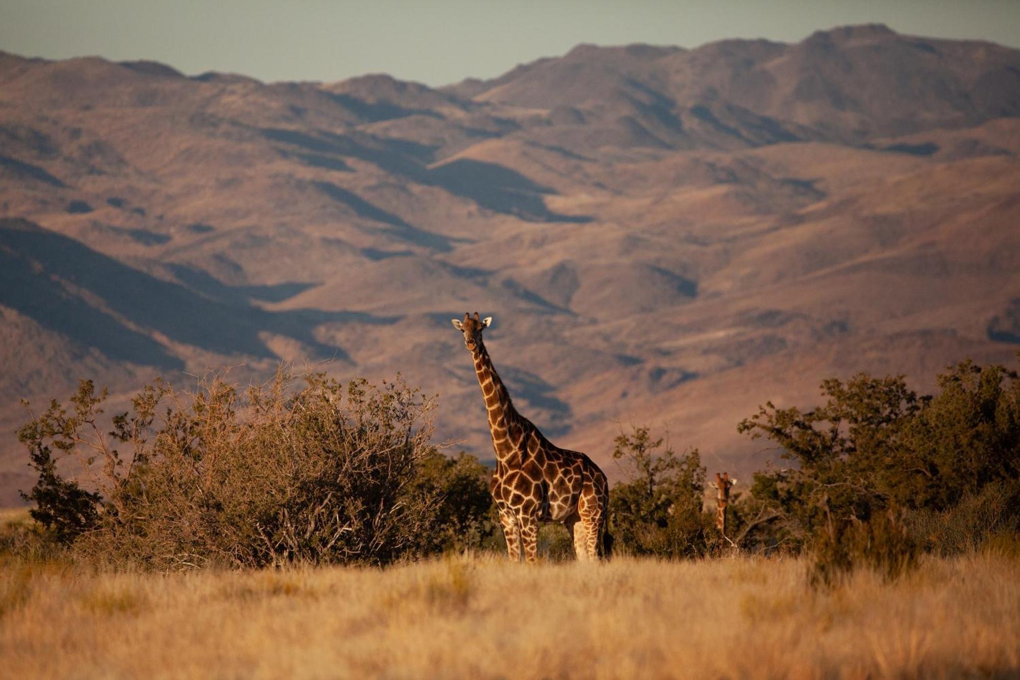 Sandfontein Lodge & Nature Reserve מראה חיצוני תמונה