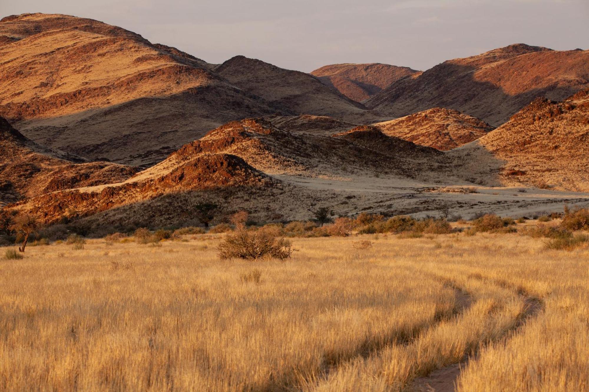 Sandfontein Lodge & Nature Reserve מראה חיצוני תמונה