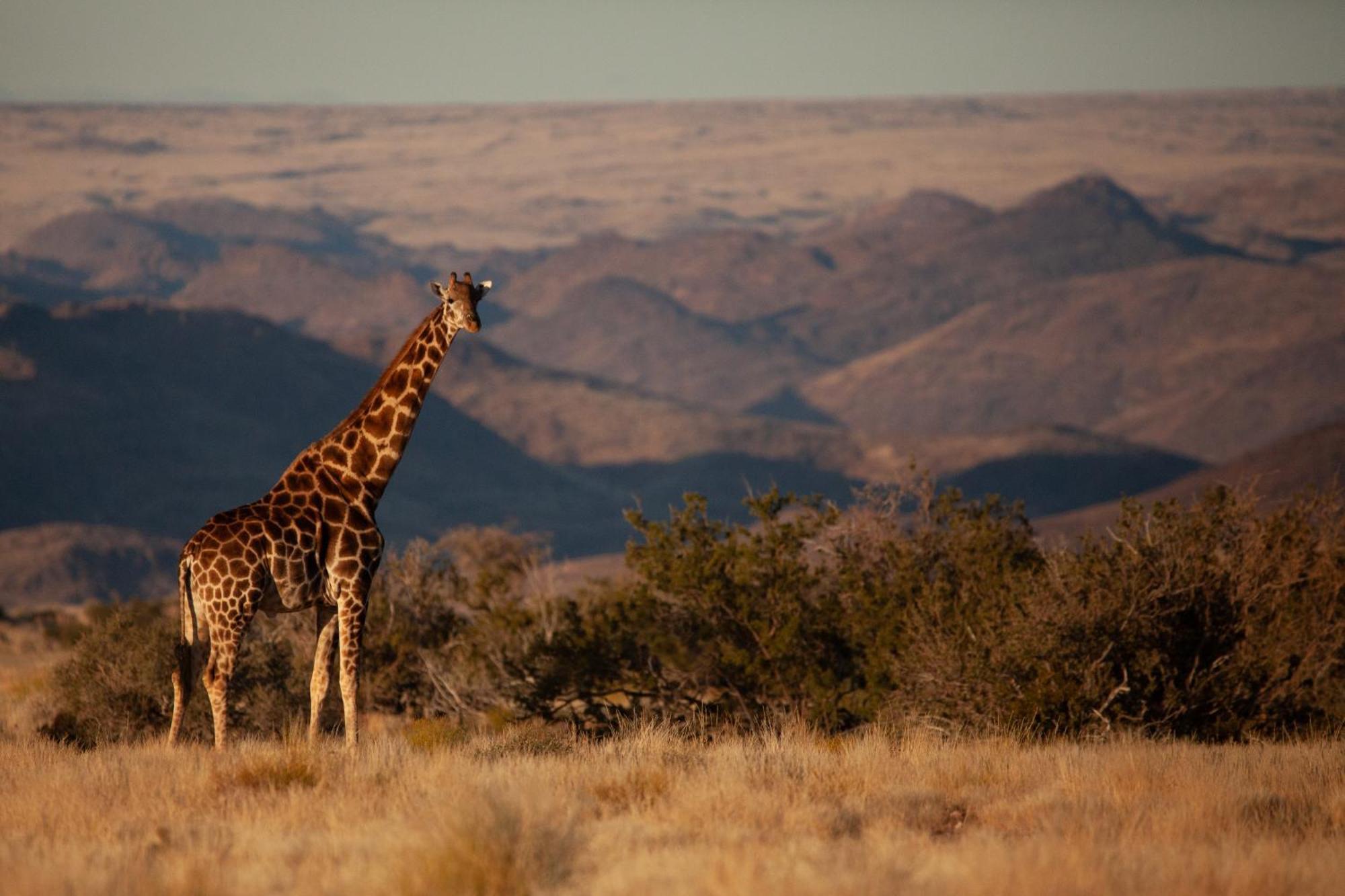 Sandfontein Lodge & Nature Reserve מראה חיצוני תמונה