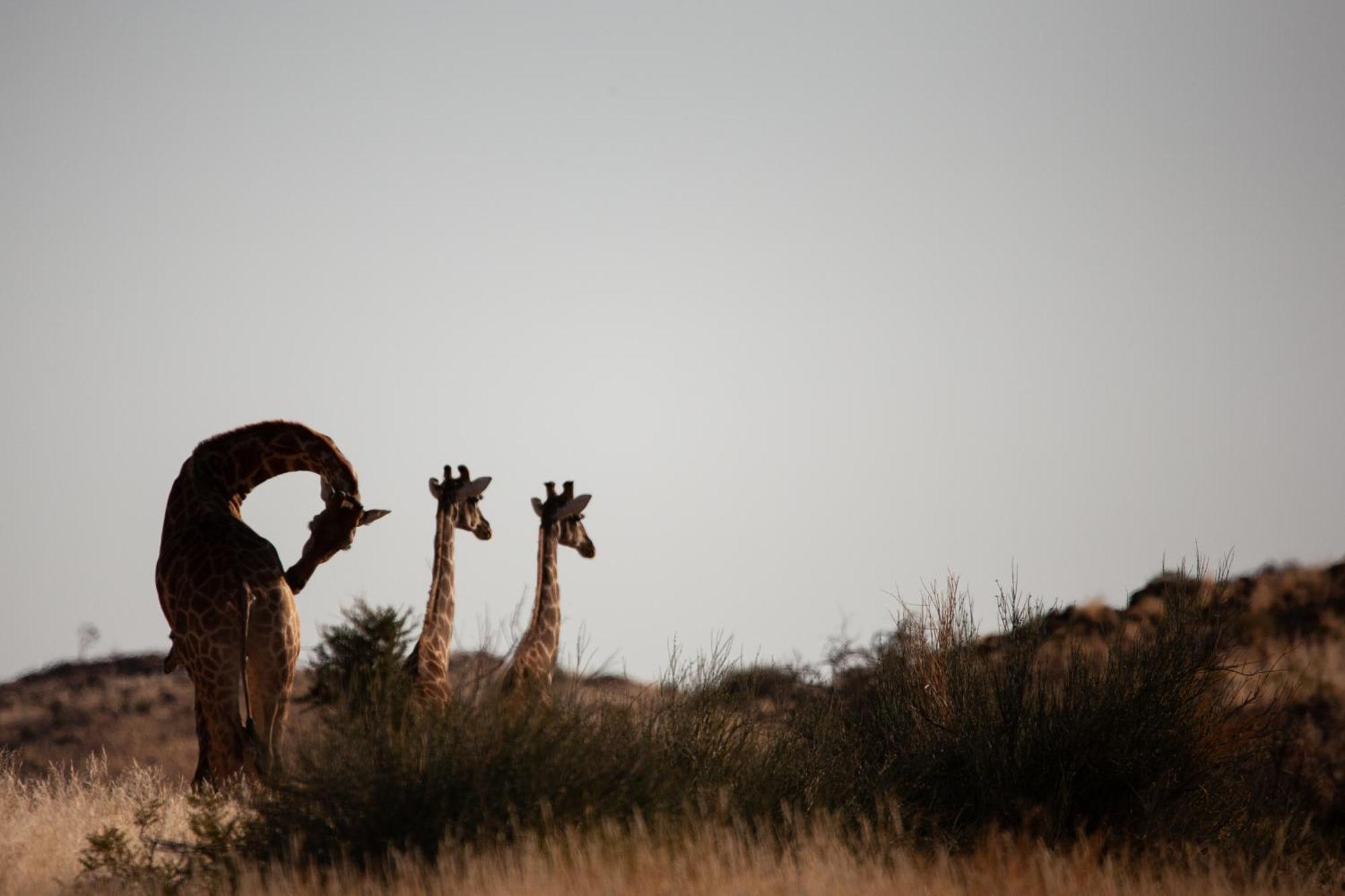 Sandfontein Lodge & Nature Reserve מראה חיצוני תמונה