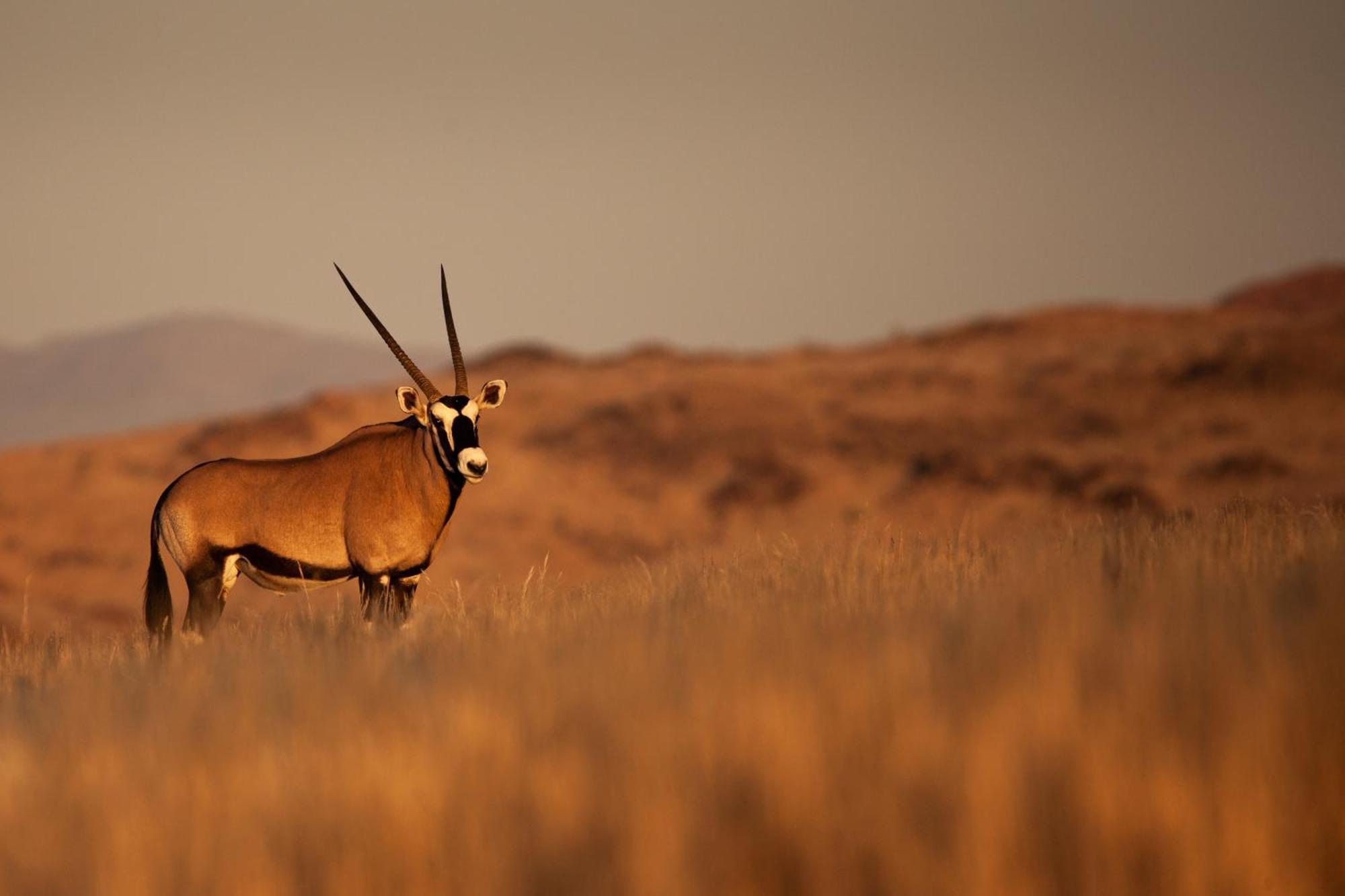 Sandfontein Lodge & Nature Reserve מראה חיצוני תמונה